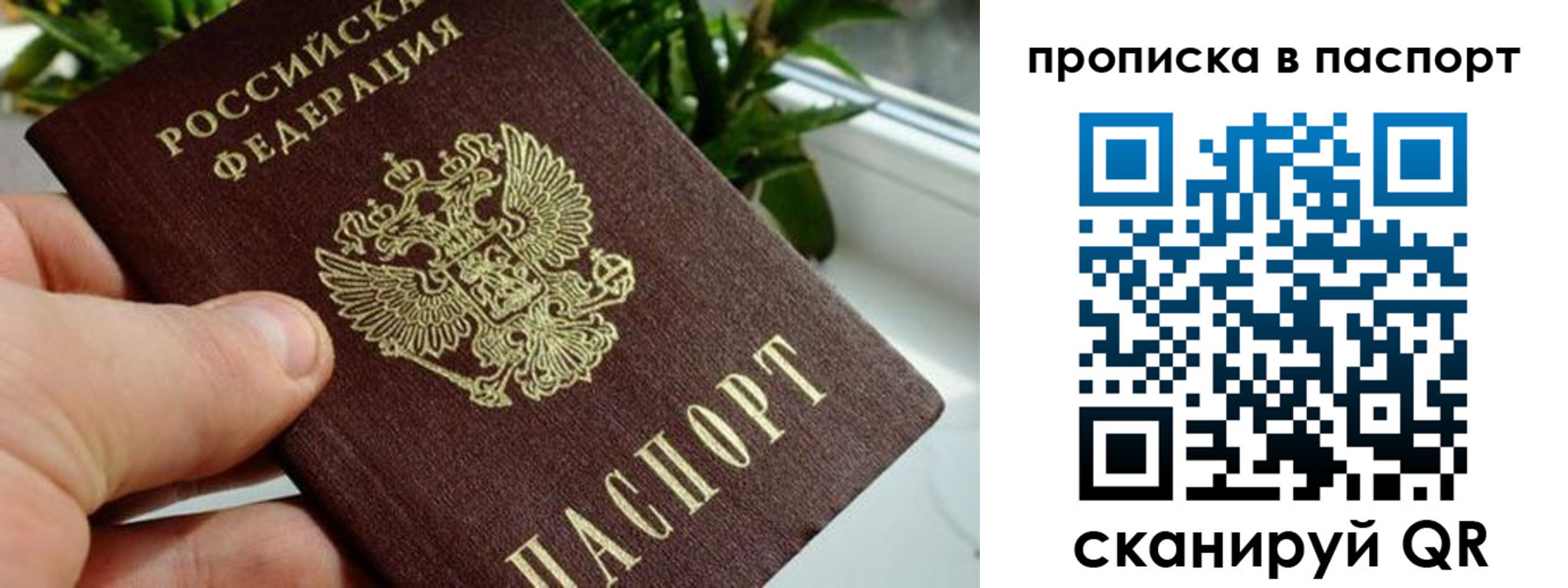 пропишу в квартире в Могочи